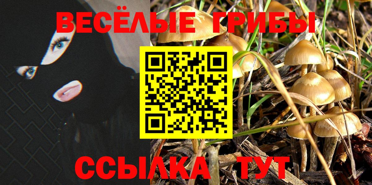 Псилоцибиновые грибы GOLDEN TEACHER  Вход с VPN  Луга 